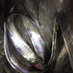 アタリ減ったなあ