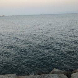 タチウオ坊主_:(´ཀ`」 ∠):