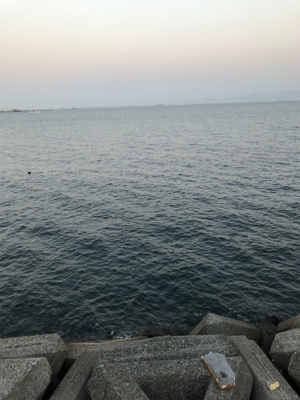 タチウオ坊主_:(´ཀ`」 ∠):