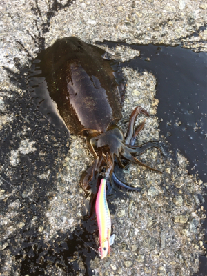 気持ちいいー！