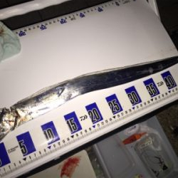 アタリがない、、、