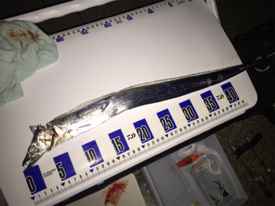 アタリがない、、、