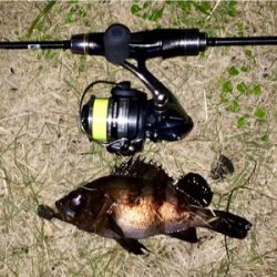 メバリンガー1710〜1750