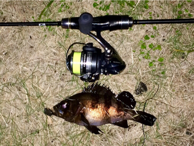 メバリンガー1710〜1750