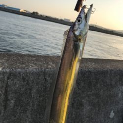 明るくなってからのタッチポン