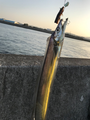 明るくなってからのタッチポン