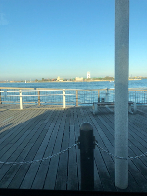 衣浦トンネル碧南側〜大浜漁港でガシリング