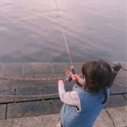 ファミリーアジングー