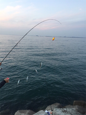 ノマセのはずが