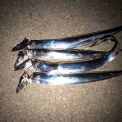 今宵もタッチーデート(^^)