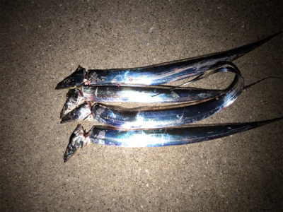 今宵もタッチーデート(^^)