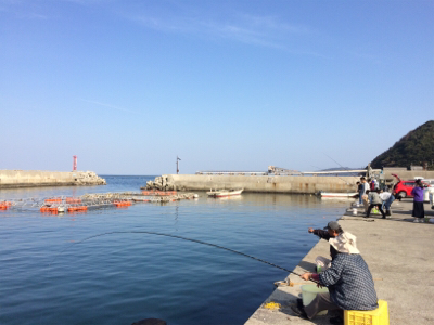 大浦漁港でサビキ