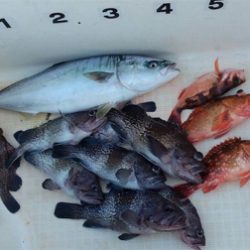 シーズン終わり