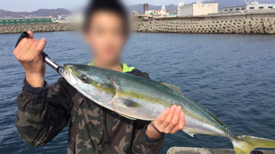 ハマチとマゴチ