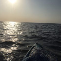 県南にて、カヤックフィッシング