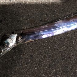 今宵はご機嫌斜め？