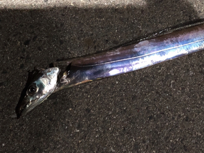 今宵はご機嫌斜め？