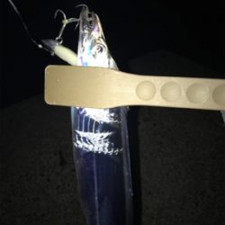 痛恨のサビキ忘れ(涙)