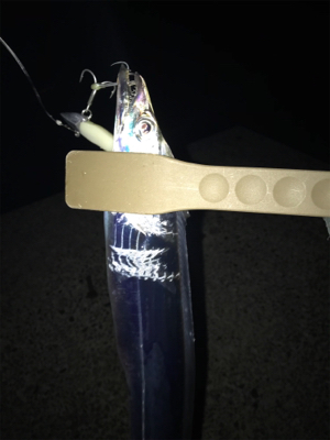 痛恨のサビキ忘れ(涙)