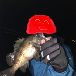 メバルのちタケノコ掘り