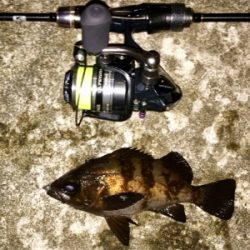 メバリンガー1805〜1847