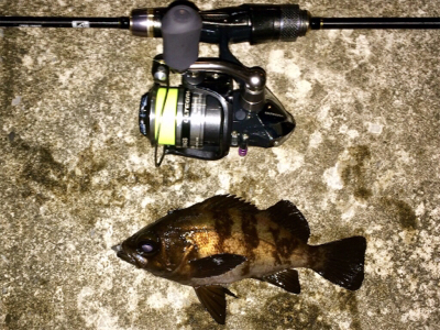 メバリンガー1805〜1847