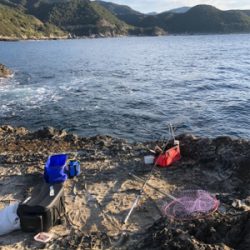 寒グレどこ行った？