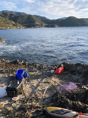 寒グレどこ行った？