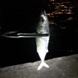 何だかねェ〜サバゲー(´༎ຶོρ༎ຶོ`)