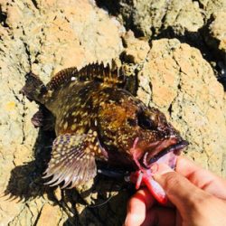 寒くなってきましたね、、、