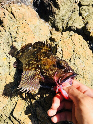 寒くなってきましたね、、、