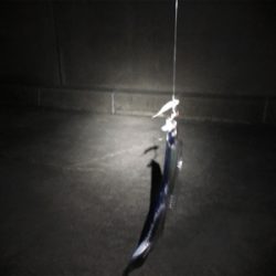 寒い！風強い！寒い‼︎