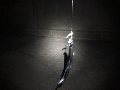 寒い！風強い！寒い‼︎