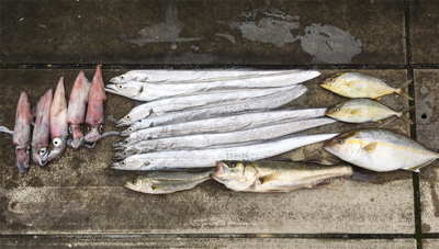 なんとか、、、