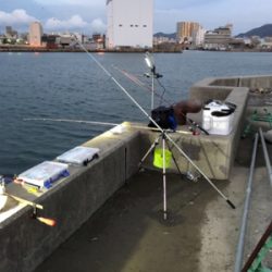 カレイ狙いの久々の投げ釣り