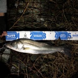 極寒のシーバス釣行