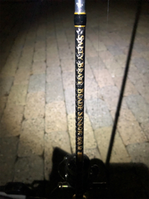 芦屋浜アジング