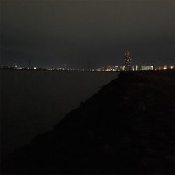 淀川ブリームゲーム お帰りなさい