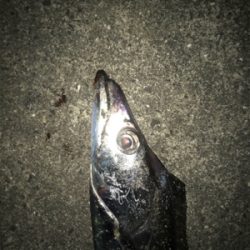 ドラゴンVSタッチポン