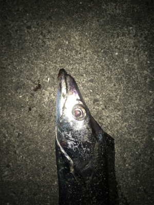 ドラゴンVSタッチポン