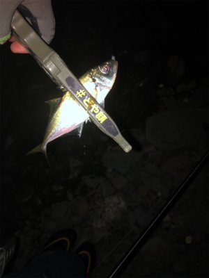 釣れる方法教えてください！