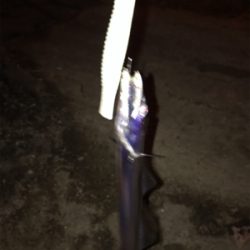 寒さに負けました