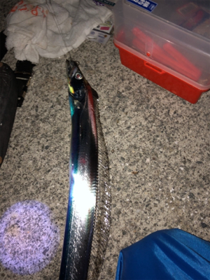 今シーズン釣り納め