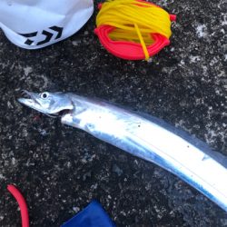 本年 沖堤 最終？釣行