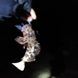 マイクロジギング