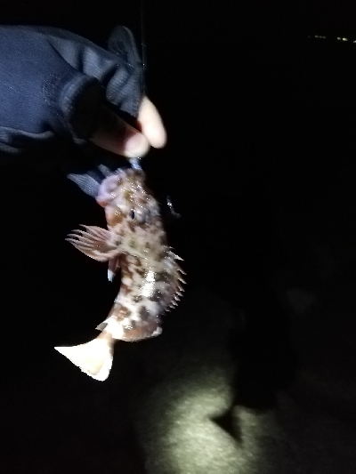 マイクロジギング