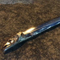 寒い中でのタッチーチャレンジ