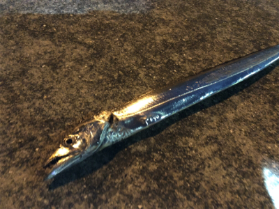 寒い中でのタッチーチャレンジ