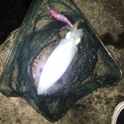 深夜２時間釣行