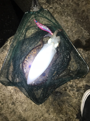 深夜２時間釣行